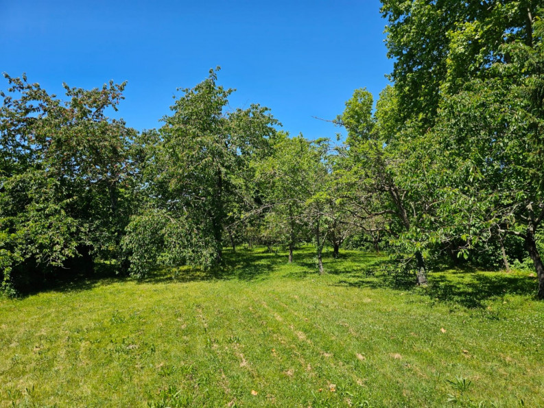 vente Maison Baziege - Photo 2