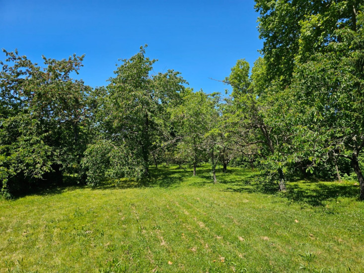 à vendre Maison Baziege