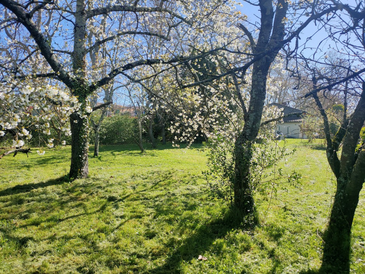 à vendre Maison Baziege