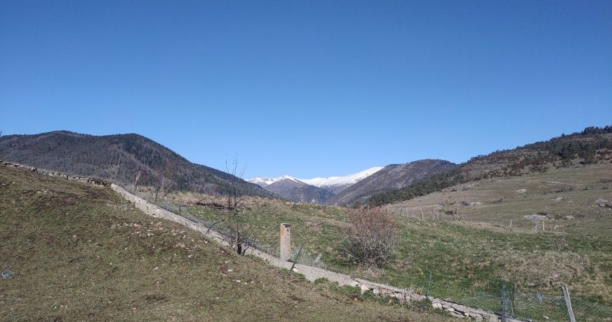 vente Maison Camurac