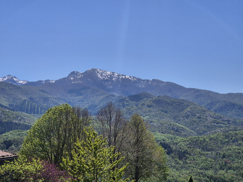 vente Maison à rénover Roquefixade - Photo 4