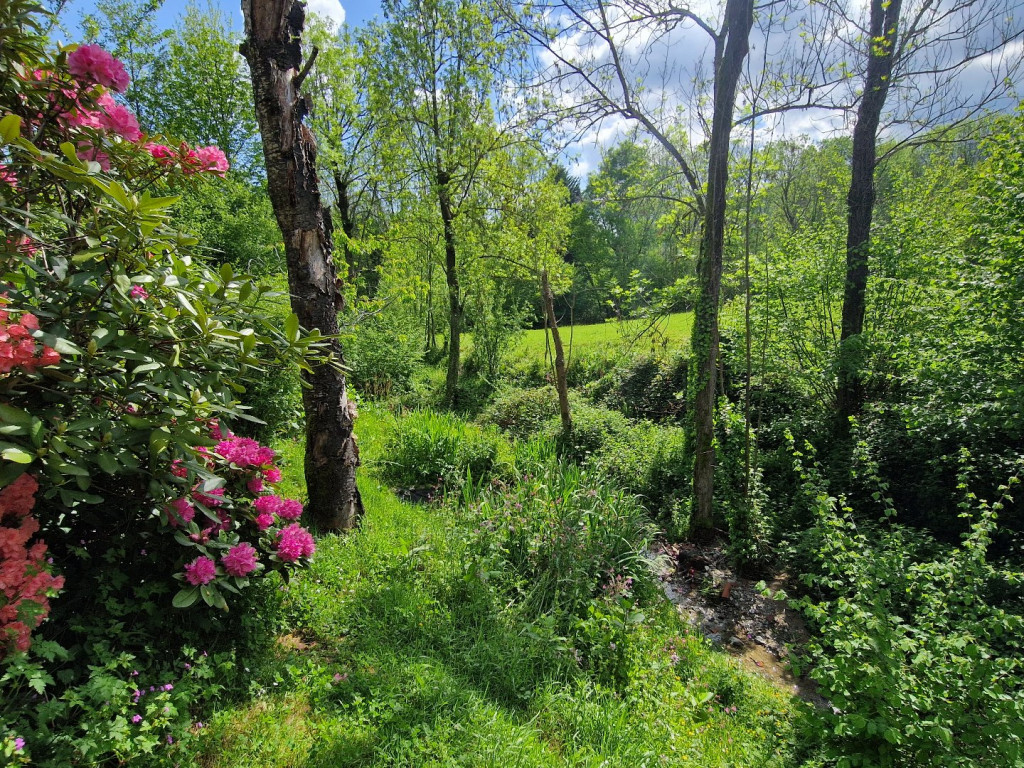 à vendre Maison de caractère Brassac - Photo 25