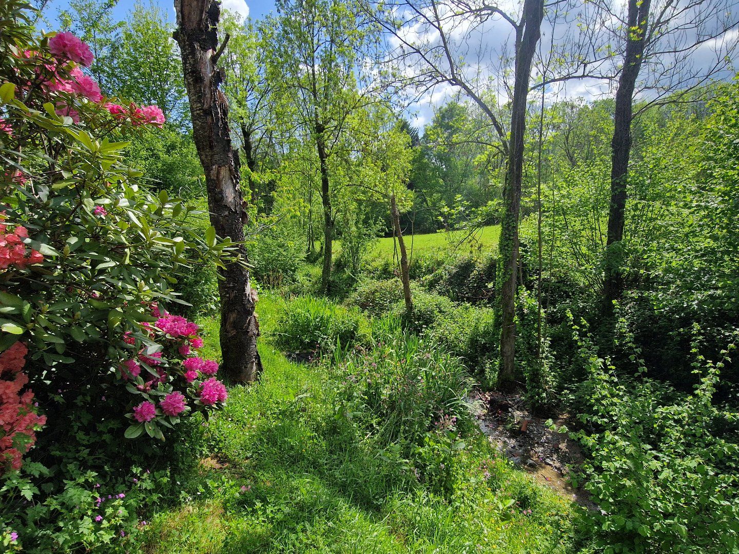 à vendre Maison de caractère Brassac