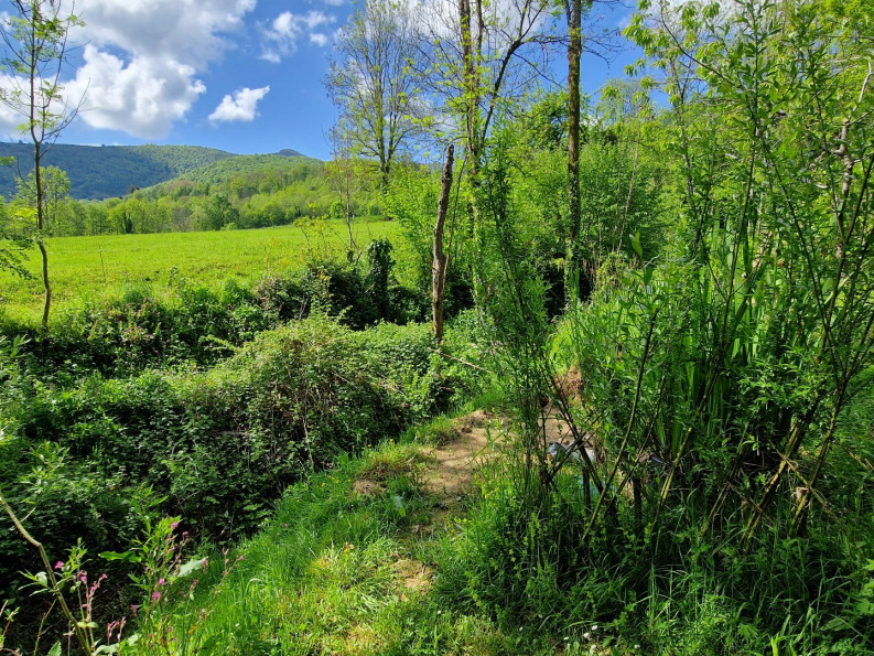 vente Maison de caractère Brassac - Photo 2