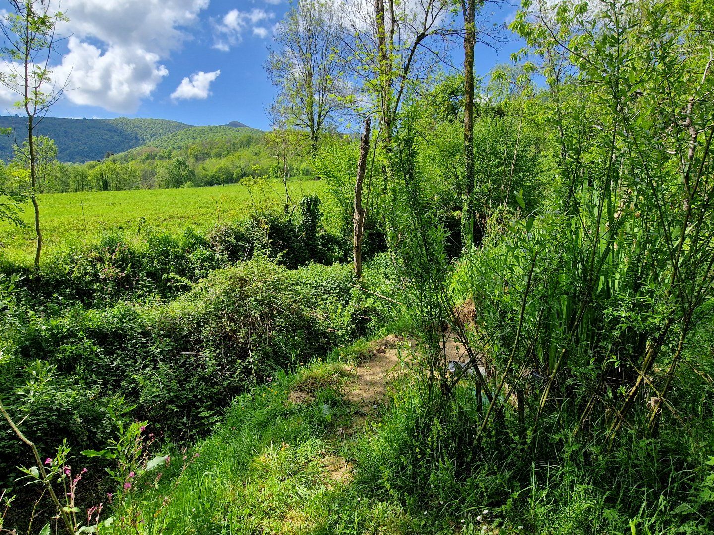 à vendre Maison de caractère Brassac