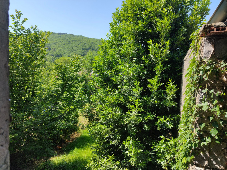 sale Maison de hameau Villeneuve D'olmes - Photo 11