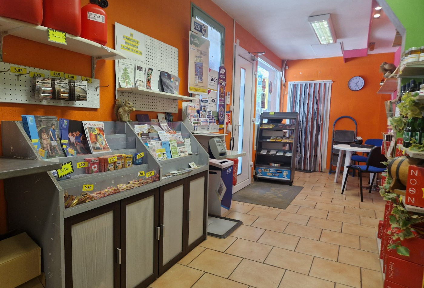 vente Ensemble immobilier Saint Pierre De Riviere - Photo 9