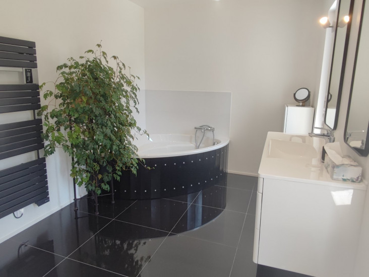 à vendre Maison de village Rieucros