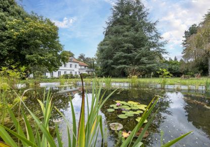 vente Maison bourgeoise Villeneuve D'olmes