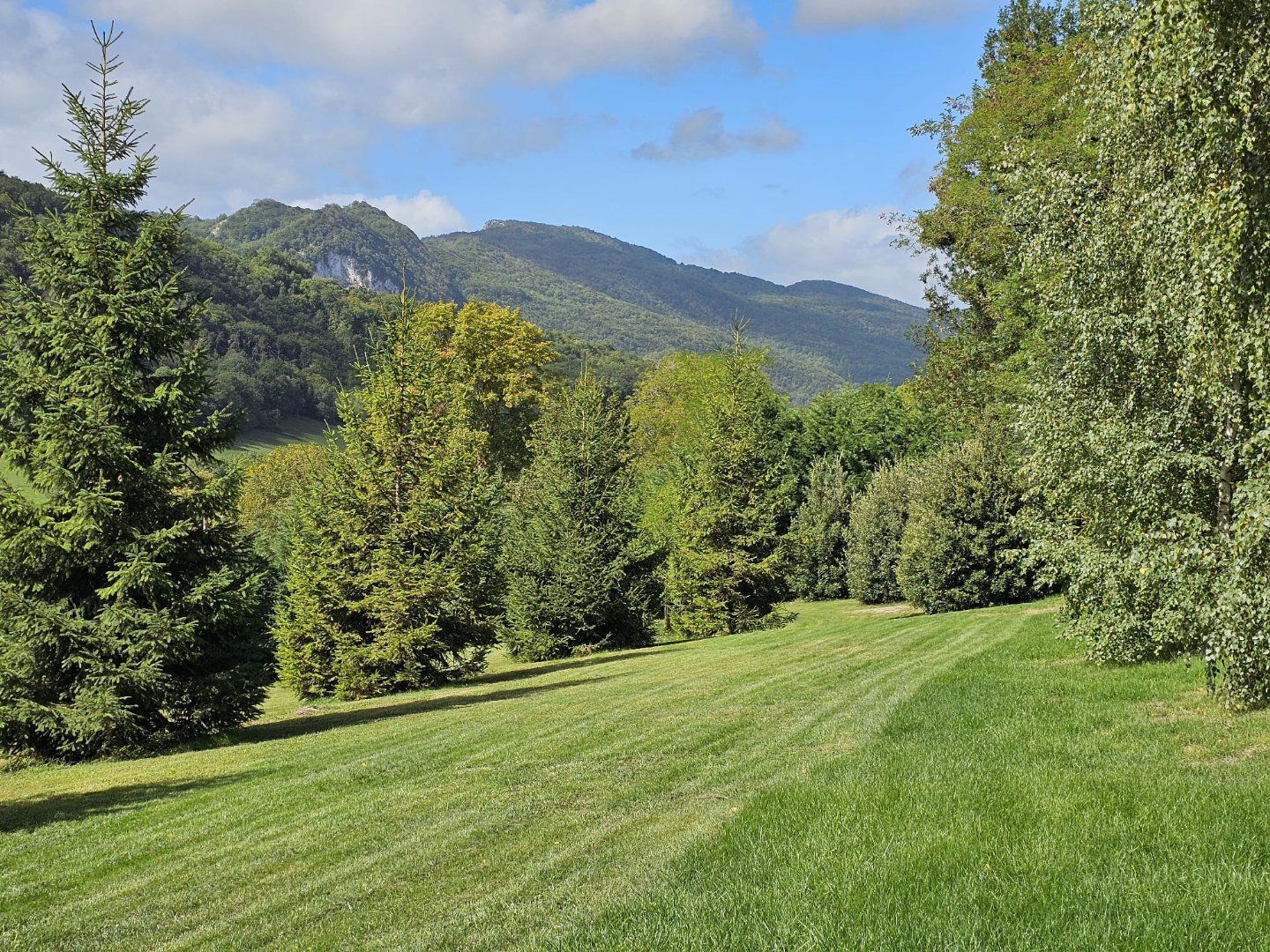 à vendre Maison Raissac