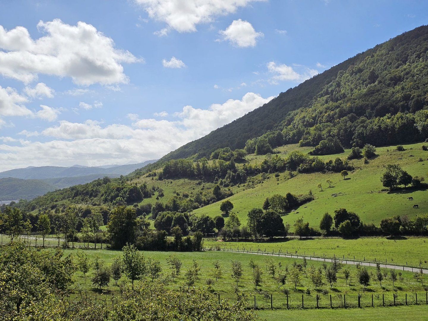 à vendre Maison Raissac