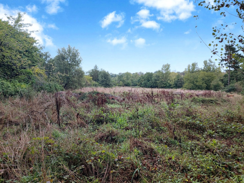 sale Maison de caractère Saverdun - Photo 19