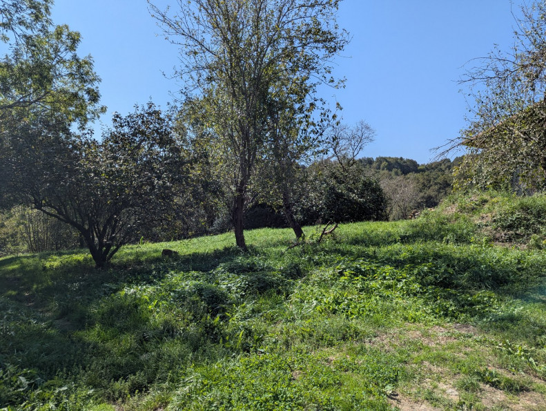 vente Maison Le Mas D'azil - Photo 6