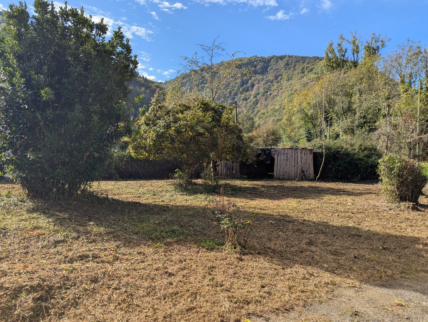 à vendre Maison Nescus