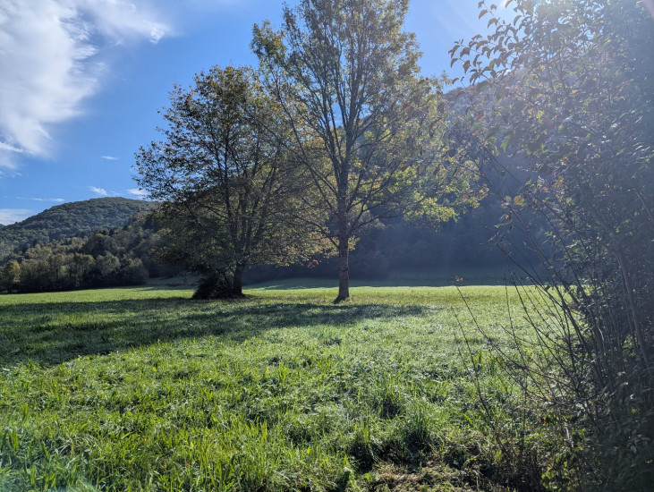 à vendre Maison Nescus