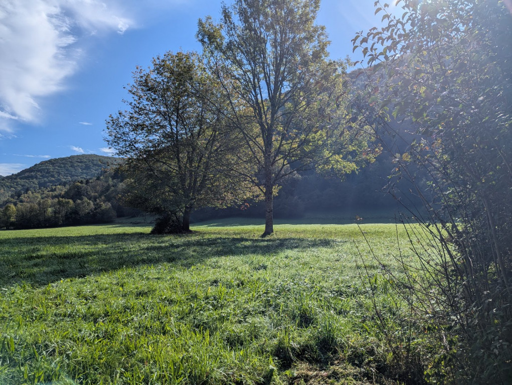 à vendre Maison Nescus - Photo 4