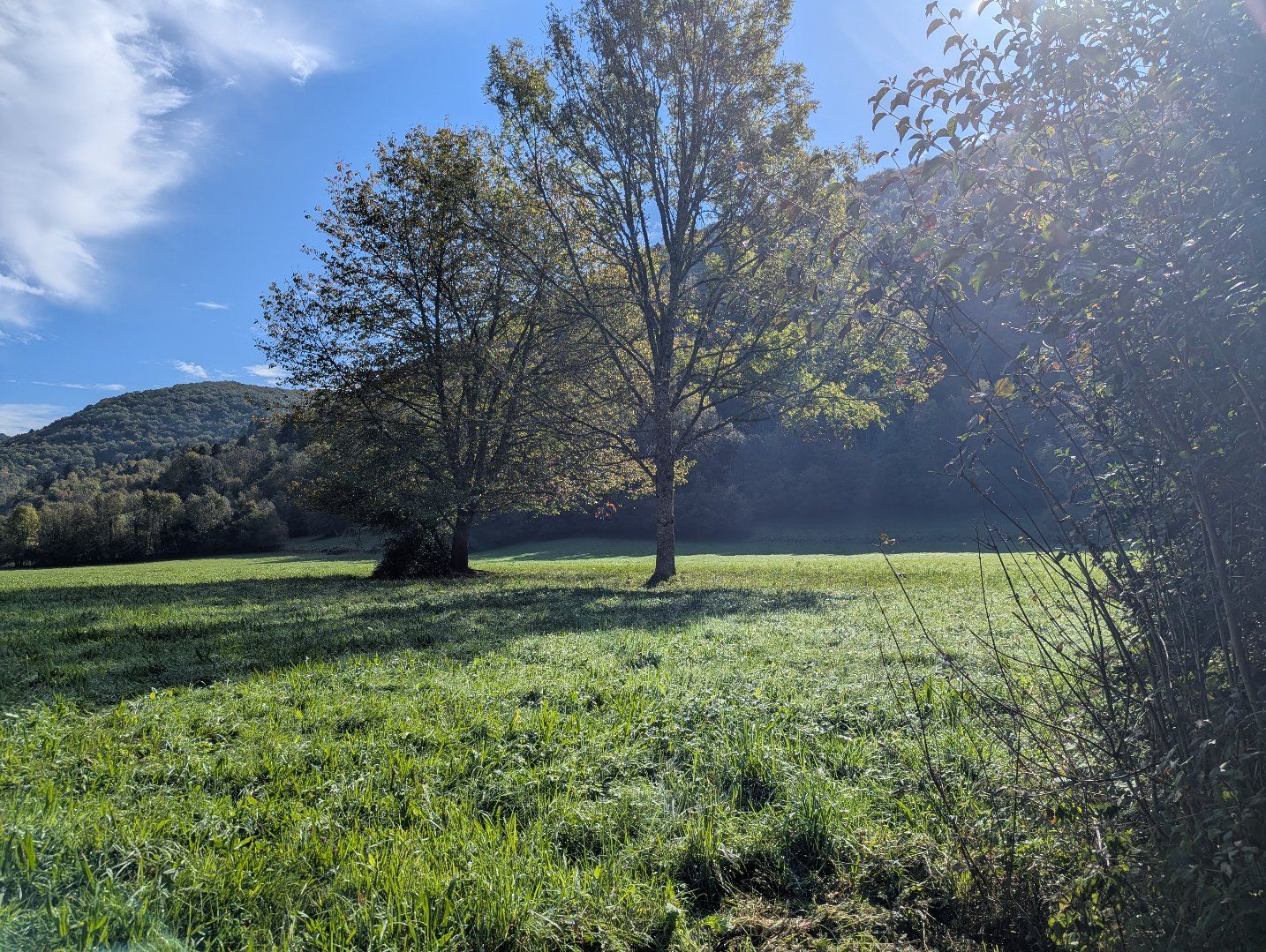 à vendre Maison Nescus