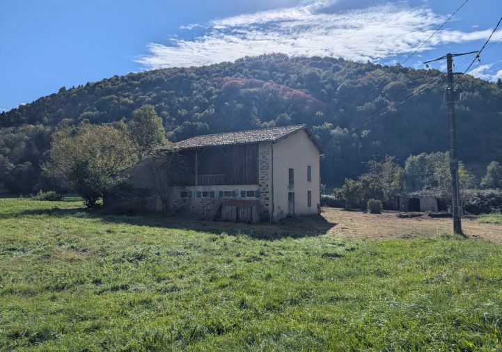 vente Maison Nescus