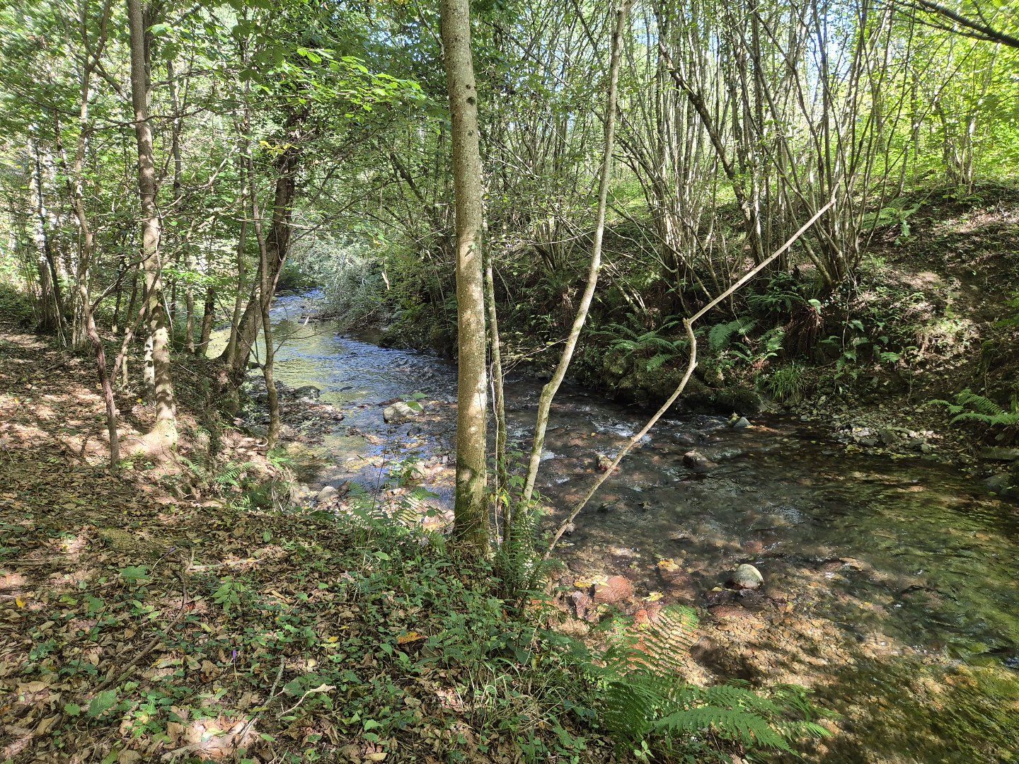 à vendre Maison individuelle Serres Sur Arget