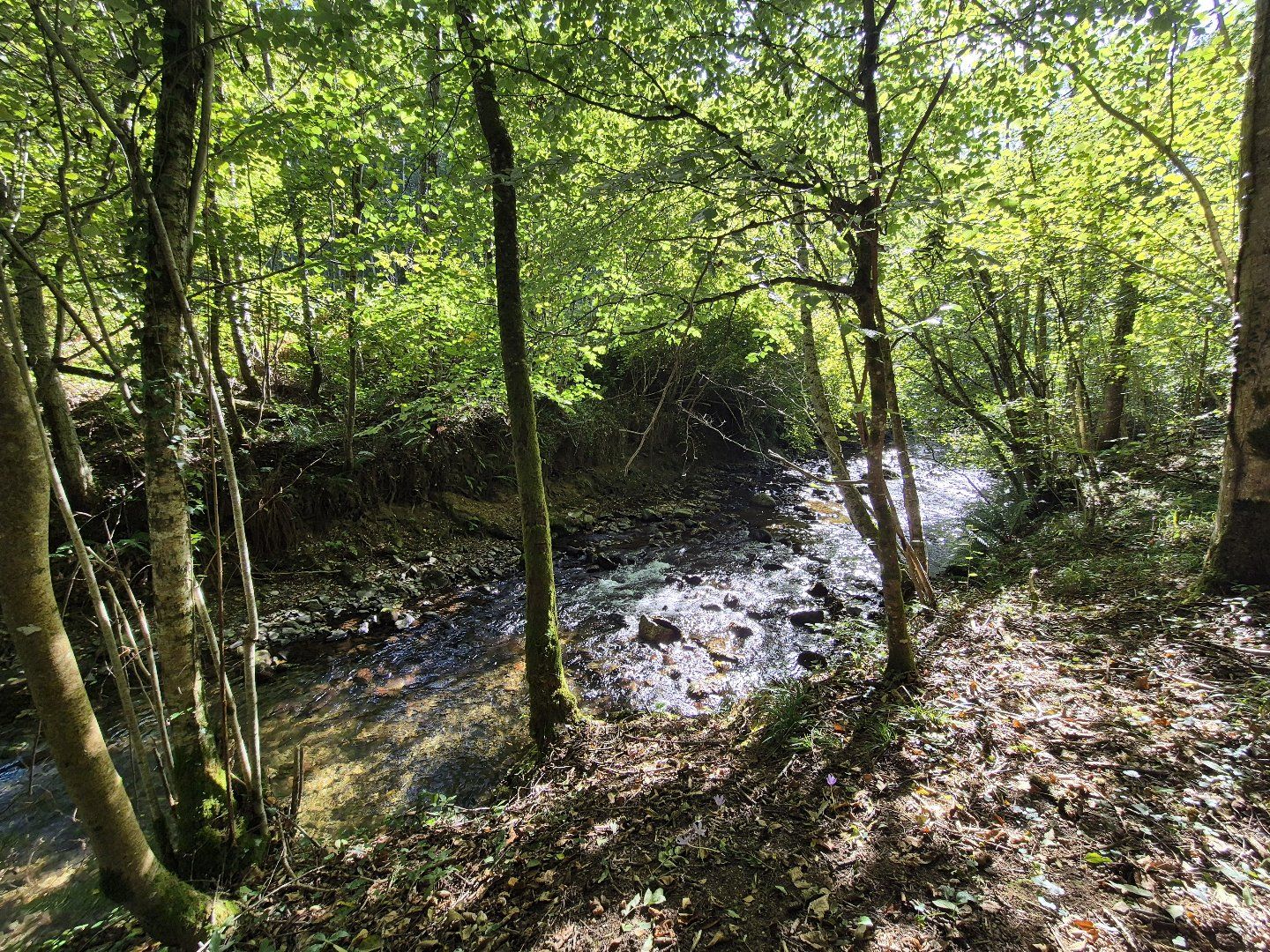 à vendre Maison individuelle Serres Sur Arget
