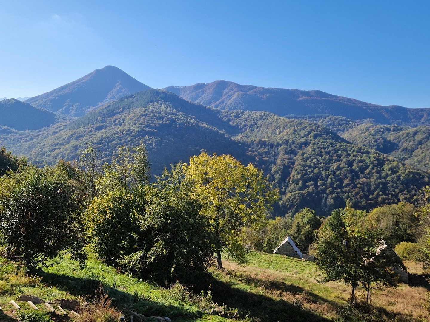 à vendre Maison Erce