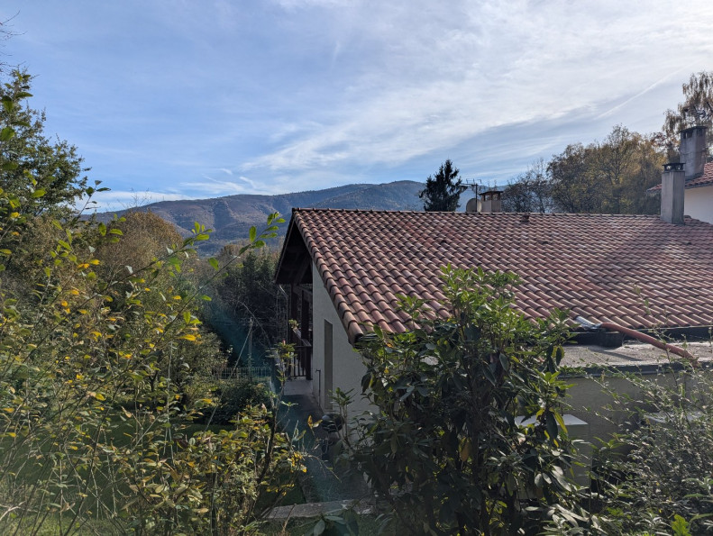 vente Maison Saint Pierre De Riviere - Photo 18
