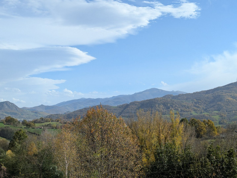 vente Maison Saint Pierre De Riviere - Photo 2