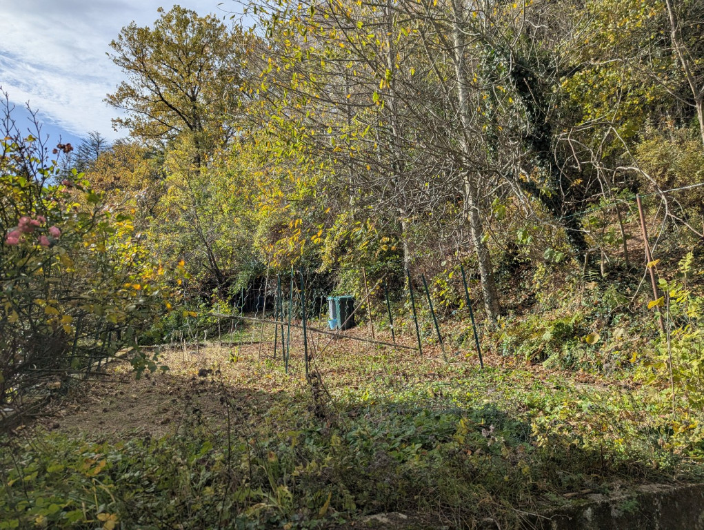 à vendre Maison Saint Pierre De Riviere - Photo 19