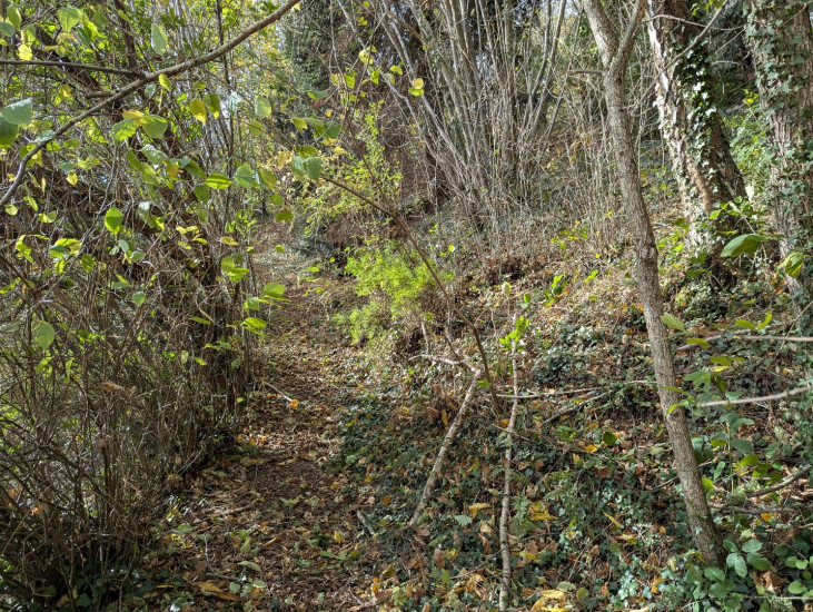 à vendre Maison Saint Pierre De Riviere