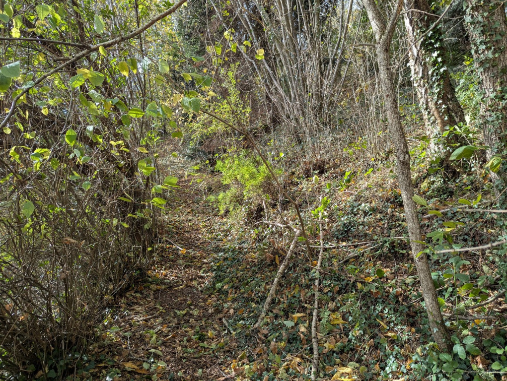 à vendre Maison Saint Pierre De Riviere - Photo 21