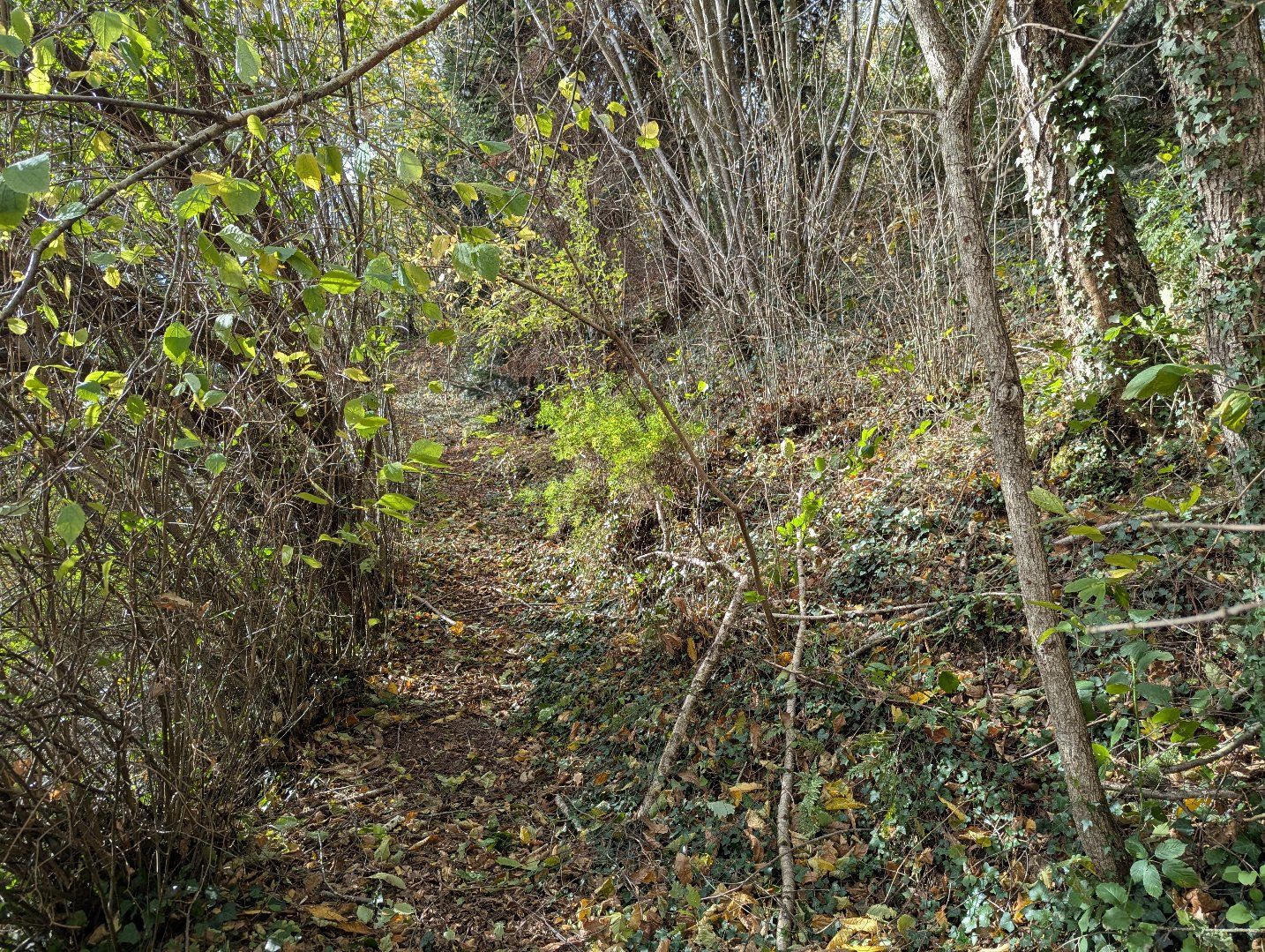 à vendre Maison Saint Pierre De Riviere