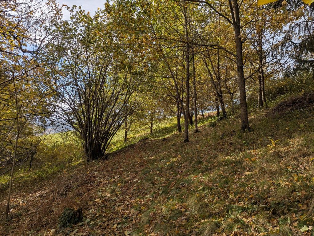 à vendre Maison Saint Pierre De Riviere - Photo 22