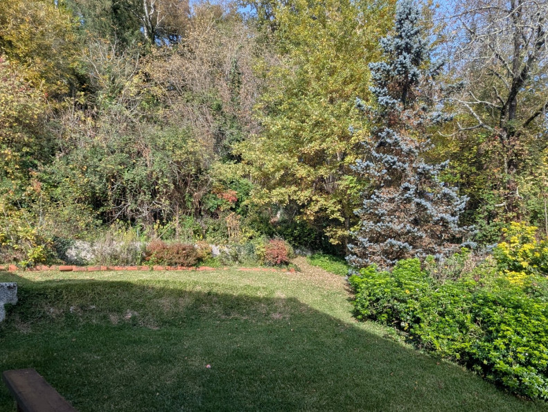 vente Maison Saint Pierre De Riviere - Photo 13