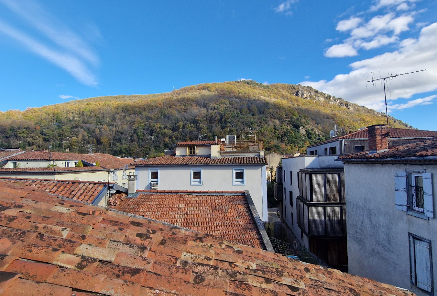vente Immeuble de rapport Foix - Photo 2