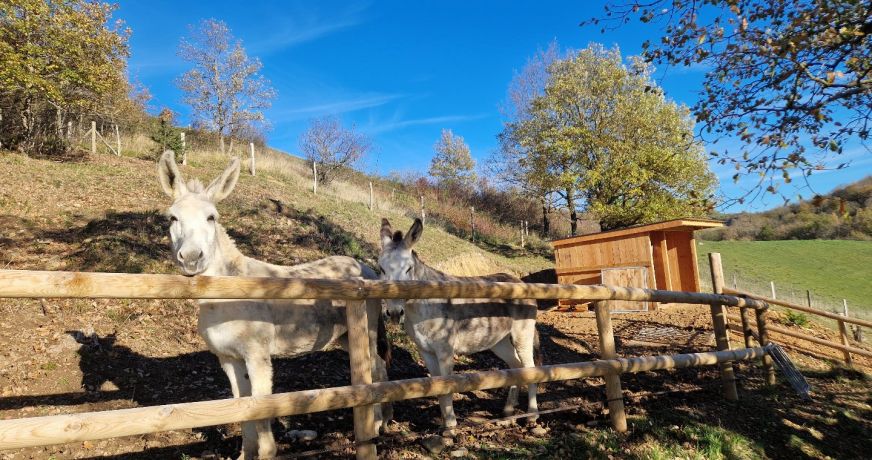 vente Maison en bois Varilhes