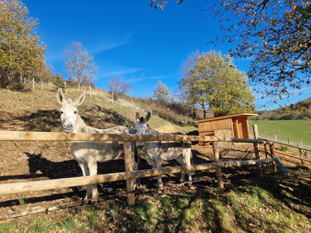 à vendre Maison en bois Varilhes - Photo 19
