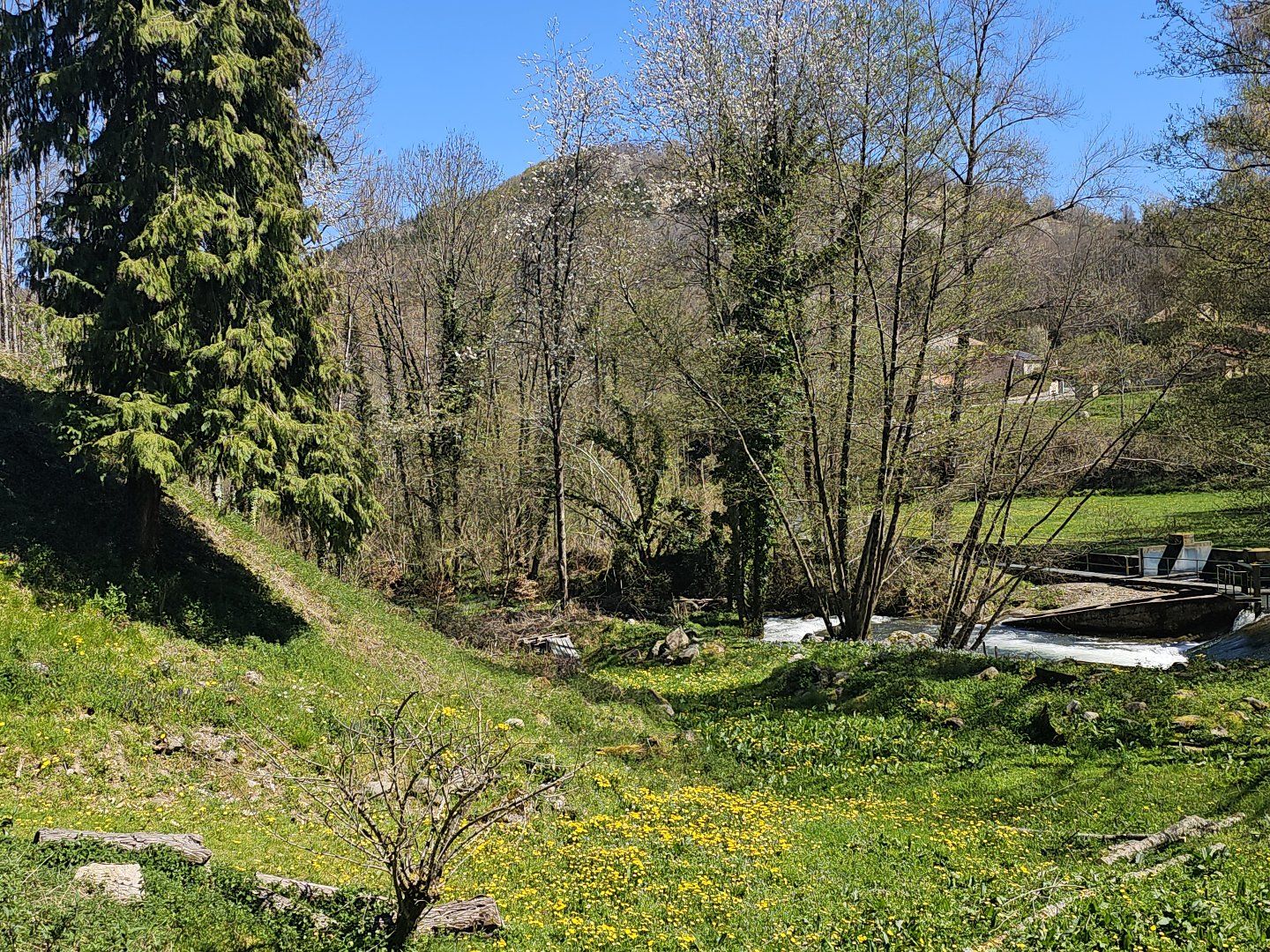 à vendre Maison Montferrier