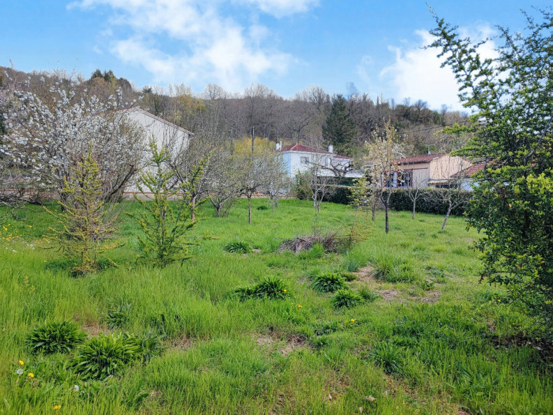 vente Terrain constructible Montesquieu-volvestre - Photo 7