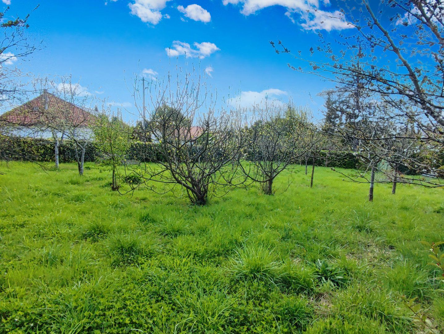 à vendre Terrain constructible Montesquieu-volvestre
