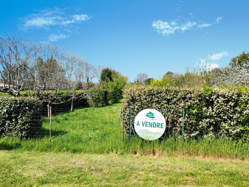 vente Terrain constructible Montesquieu-volvestre - Photo 3