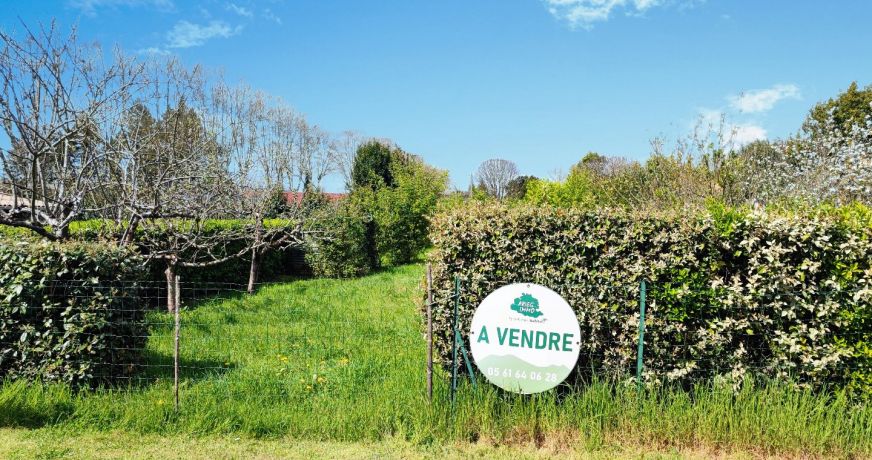 vente Terrain constructible Montesquieu-volvestre