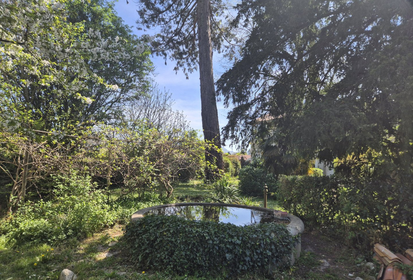 vente Maison de caractère Loubieres - Photo 2