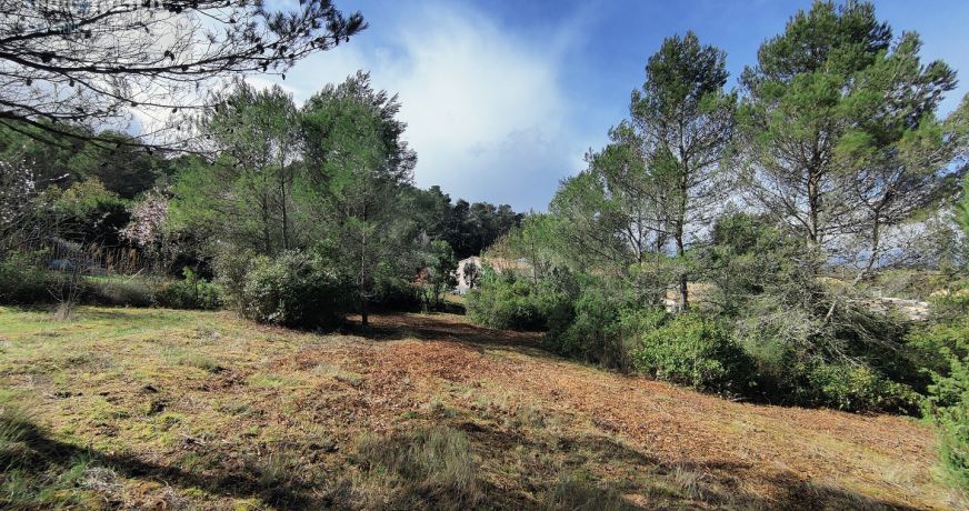 vente Terrain Fonties D'aude