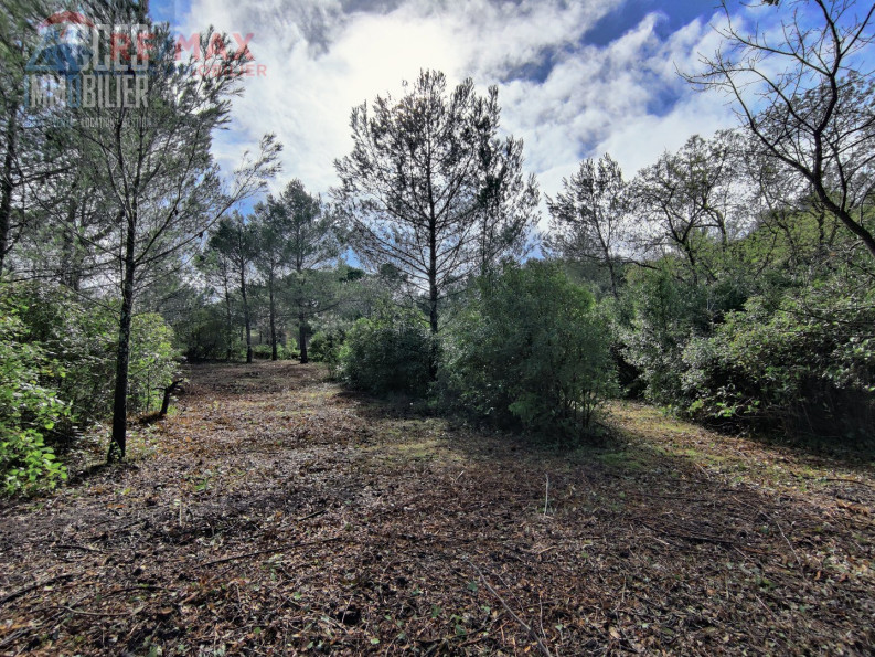 vente Terrain Fonties D'aude - Photo 10