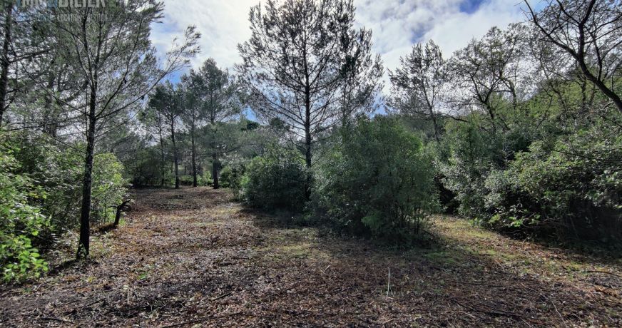 vente Terrain Fonties D'aude