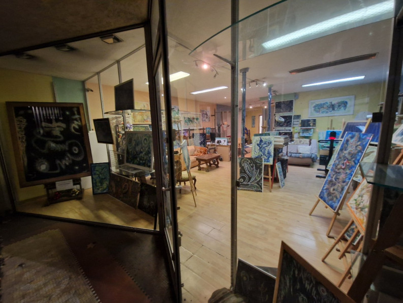 vente Local commercial Carcassonne - Photo 8