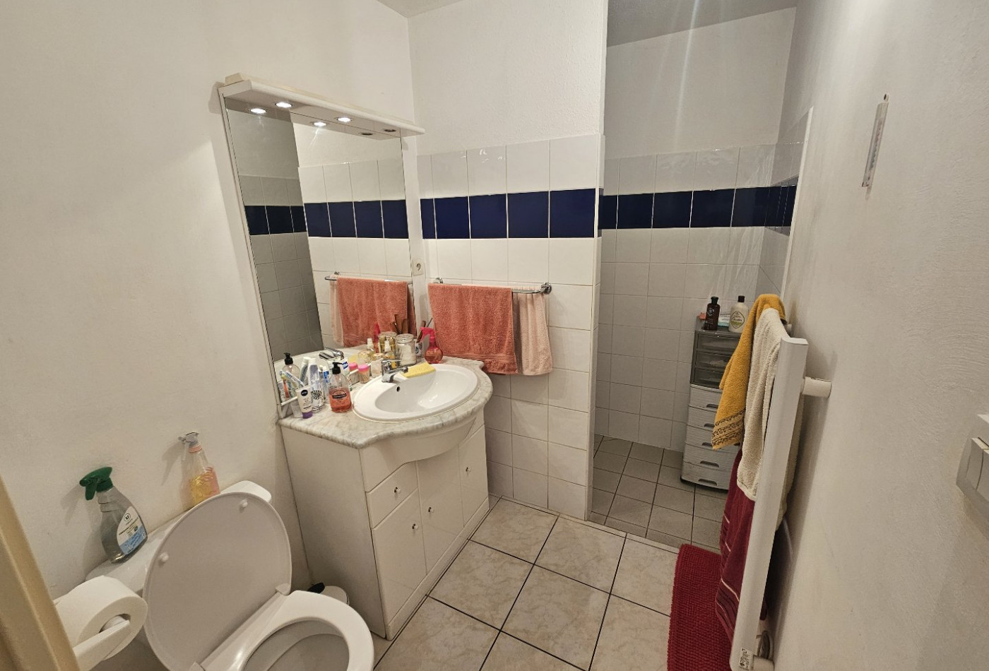 vente Pavillon Trebes - Photo 9