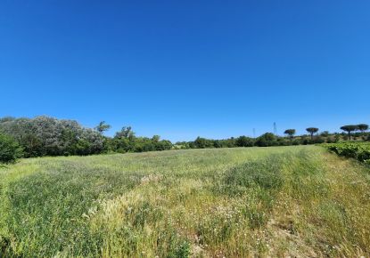 vente Terrain agricole Trebes