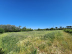 vente Terrain agricole Trebes