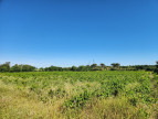 vente Terrain agricole Trebes